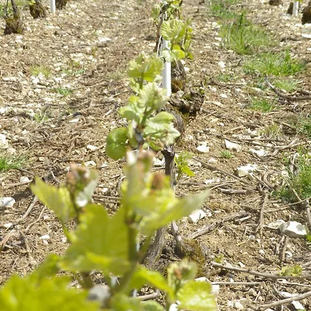 La Colline Aux Fustes 3*